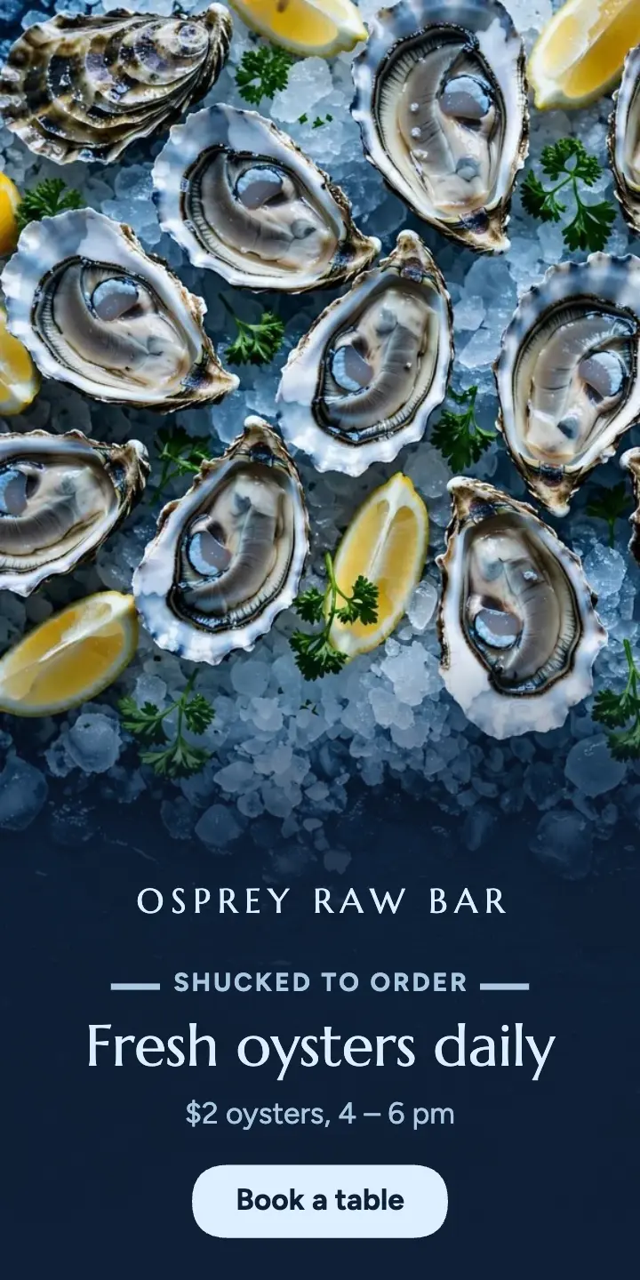 Fresh oysters daily ad template