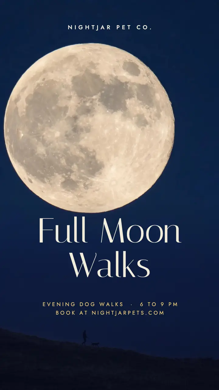 Nightjar full moon dog walks story template