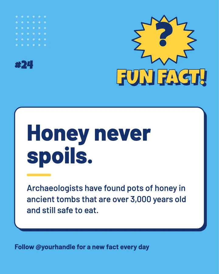 Fun fact stacked type post template