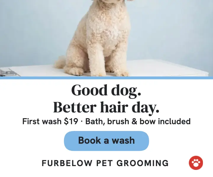Furbelow Pet Grooming first wash ad template
