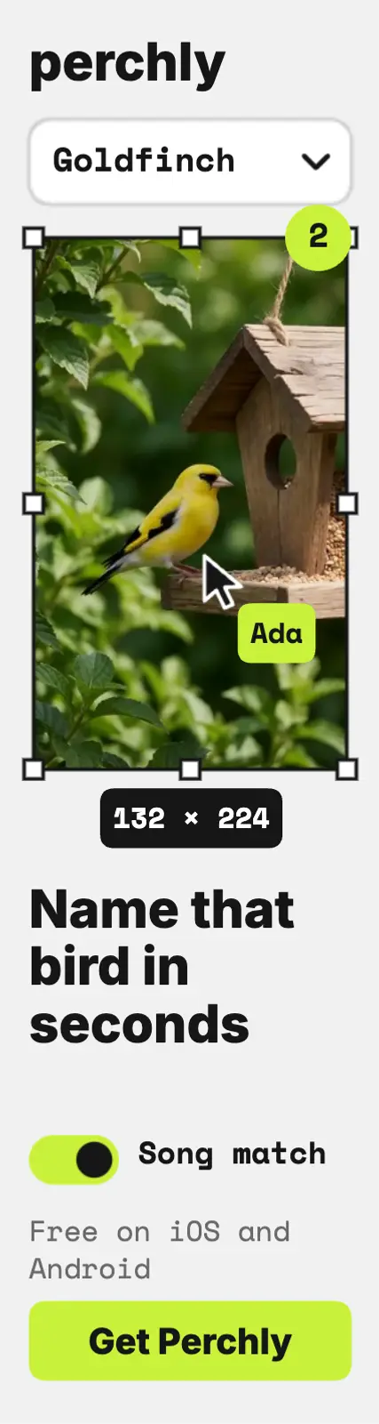 Perchly bird ID app skyscraper ad, UI fragments template