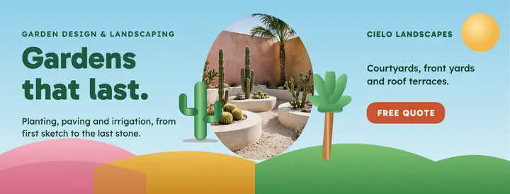 Cielo Landscapes modernist garden cover template