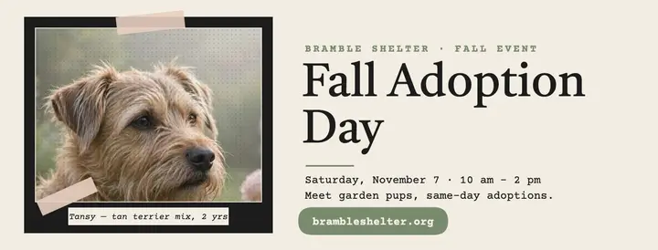 Bramble Shelter fall adoption day cover template
