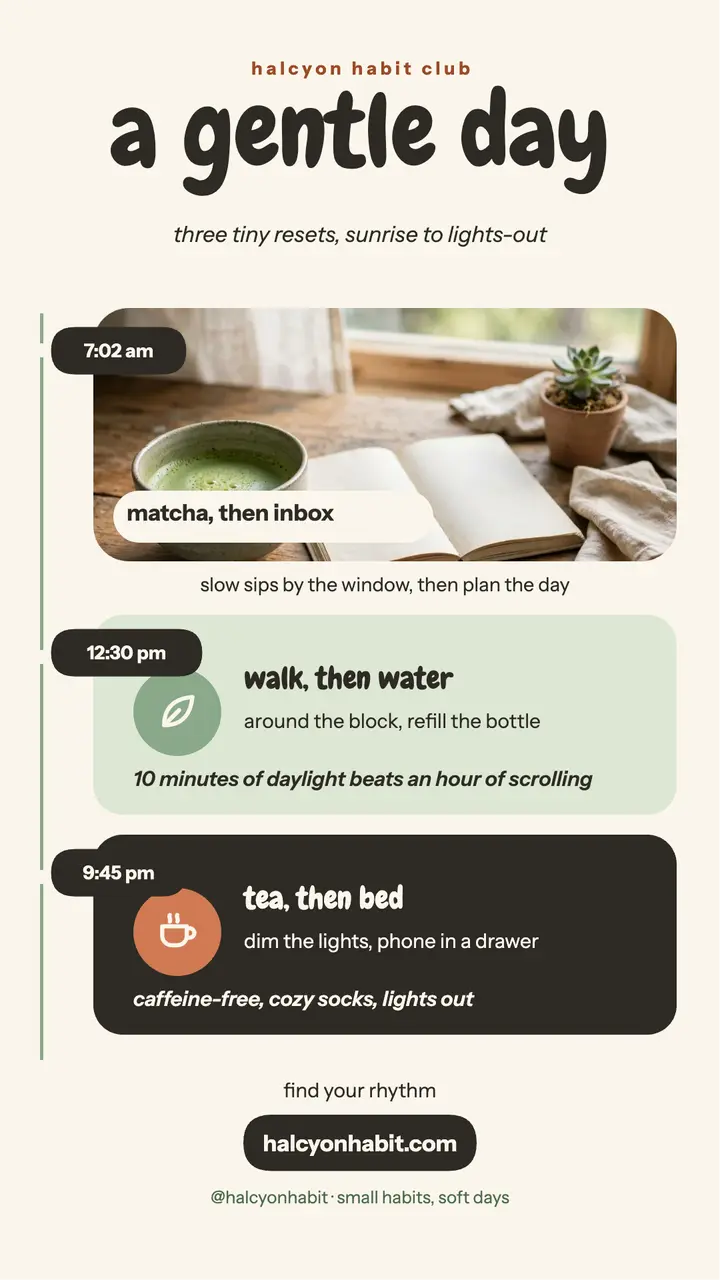 Gentle day routine wellness story template