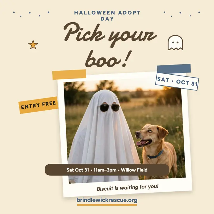 Brindlewick sheet ghost adoption day post template