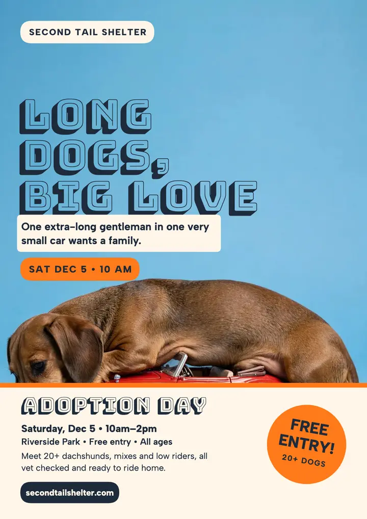 Second Tail giant dachshund adoption flyer template