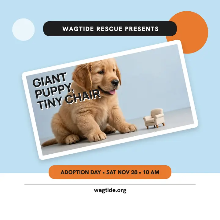 Giant puppy adoption day square post template