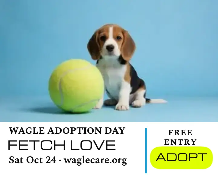 Wagle Adoption Day giant tennis ball ad template