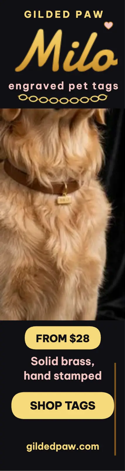 Gilded Paw gold pet tag skyscraper ad template