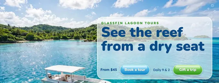 Glass-bottom boat tours, Frutiger Aero template