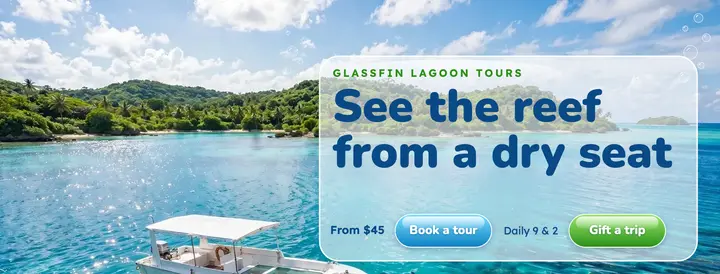 Glass-bottom boat tours, Frutiger Aero template