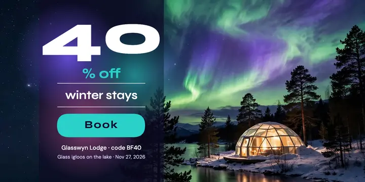 Glasswyn Lodge aurora Black Friday sale template