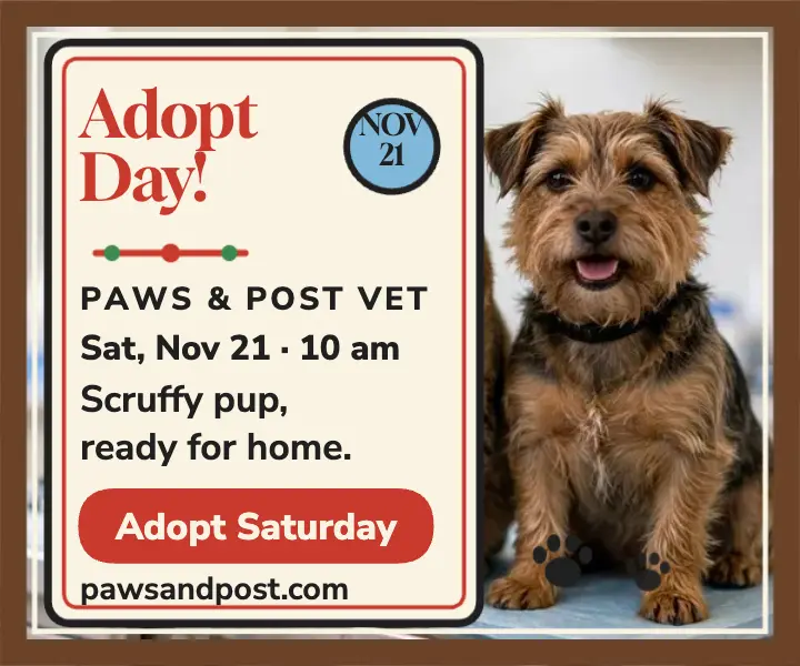 Paws and Post adoption day folk ad template