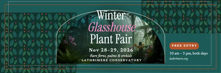 Winter glasshouse plant fair header template