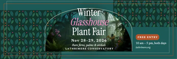 Winter glasshouse plant fair header template