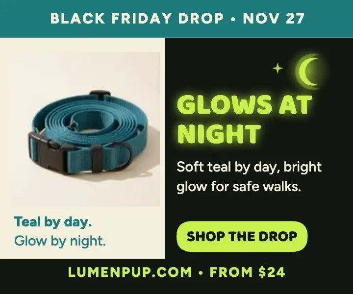 Lumenpup glow collar launch ad template