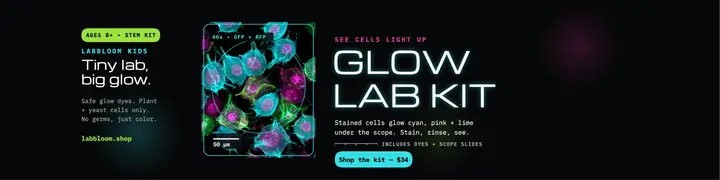 Glow Lab Kit shop banner, micrograph: kids science kit banner template