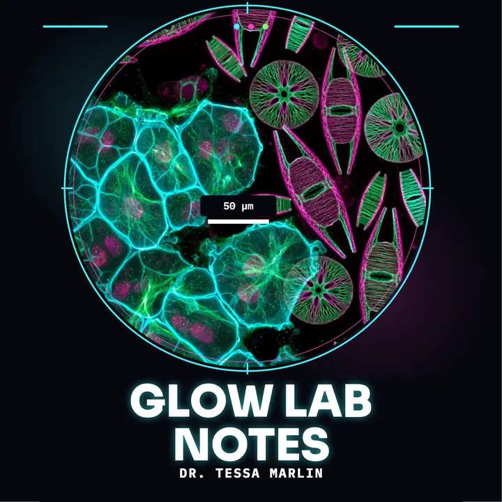 Glow Lab Notes skincare podcast cover template