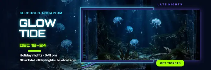 Bluehold Glow Tide holiday nights header template
