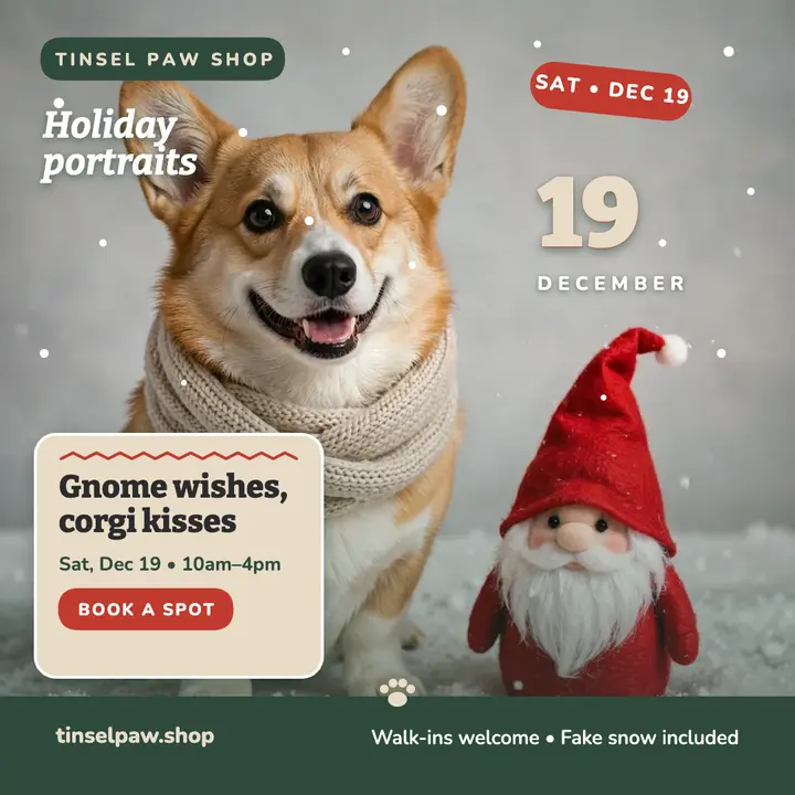 Tinsel Paw holiday portraits with gnome and corgi template