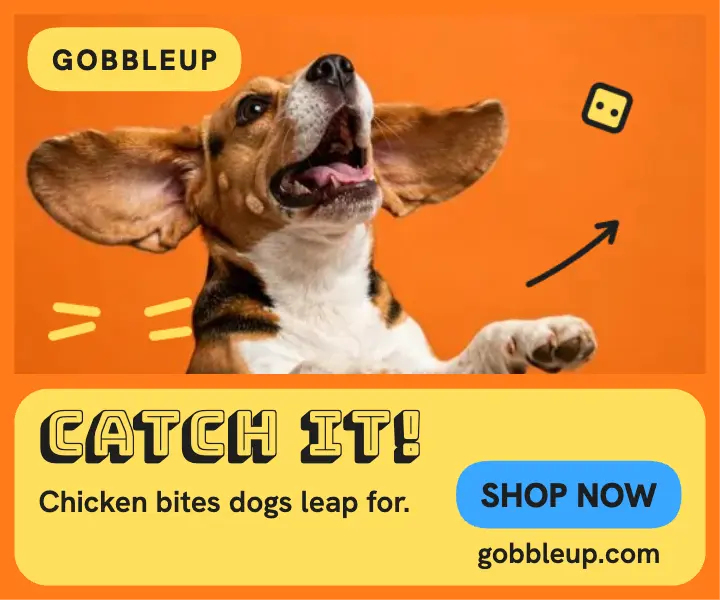Gobbleup catch it treat ad template