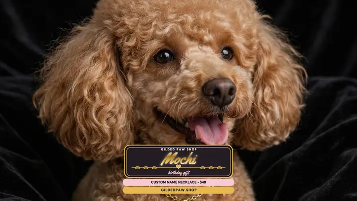 Mochi gold pet name necklace birthday thumbnail template