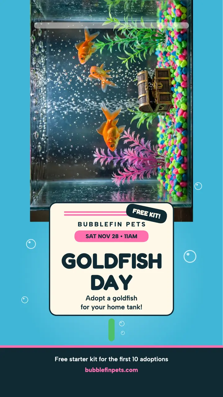 Bubblefin Pets goldfish day tank story template