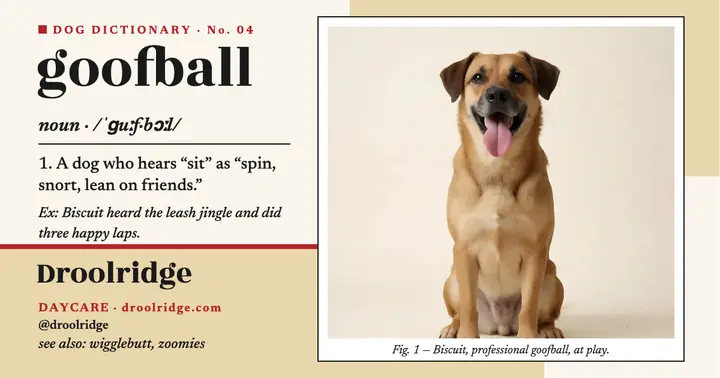 Goofball dictionary post, Droolridge Daycare: dog dictionary post template
