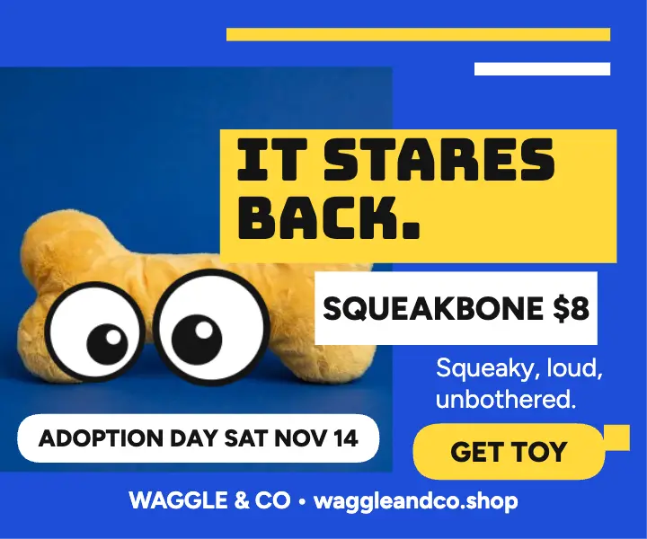 Waggle squeaky toy googly eyes ad template