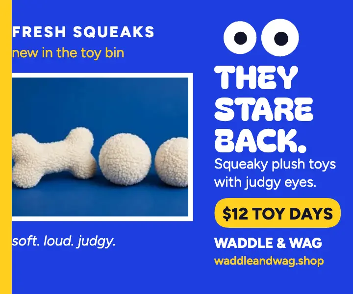 Waddle and Wag googly toy ad template