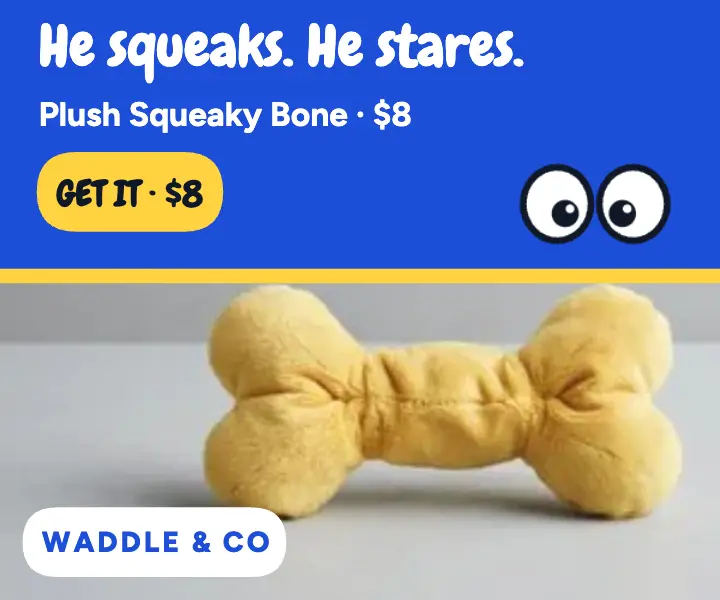 Waddle Squeaky Bone googly ad template