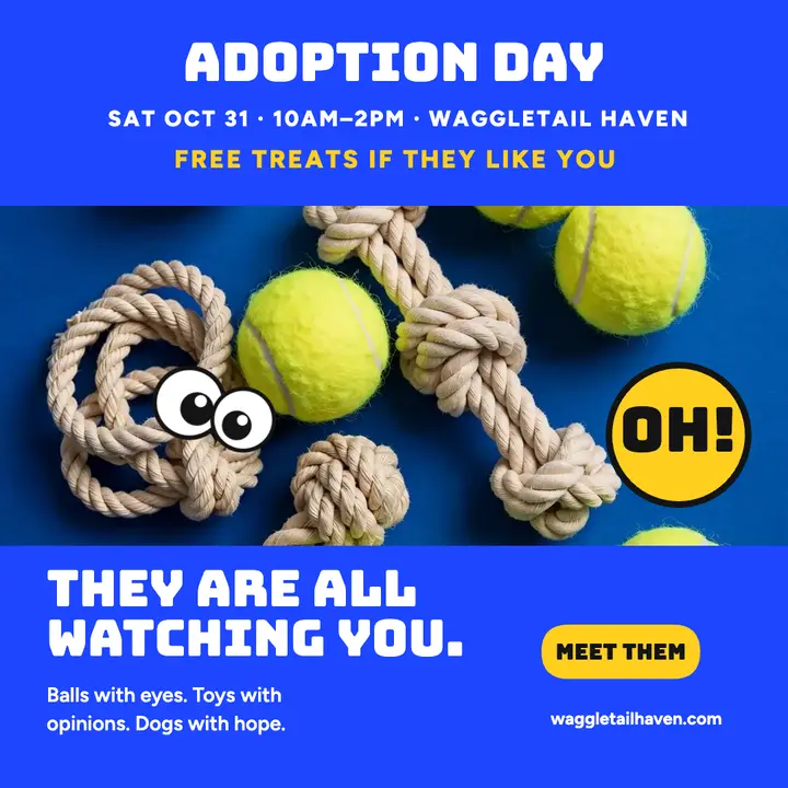 Waggletail Haven googly tennis ball adoption post template