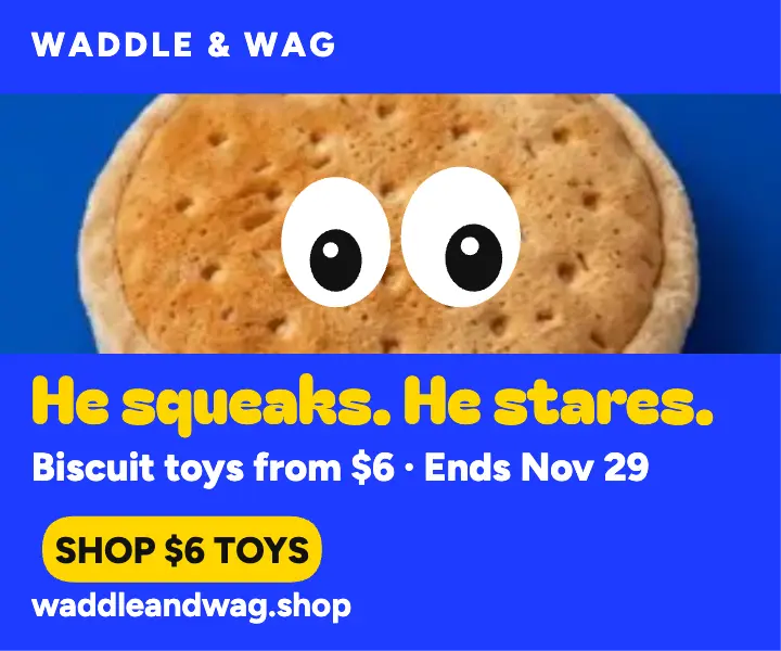 Waddle and Wag squeaky toy ad template