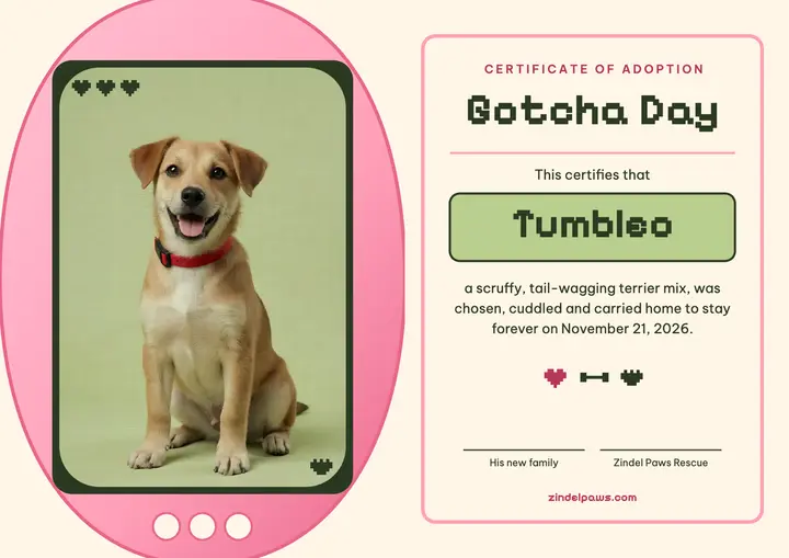 Tumbleo's Gotcha Day adoption certificate, virtual pet template