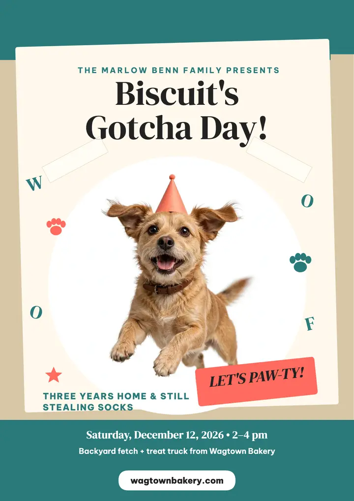 Biscuit gotcha day collage flyer template