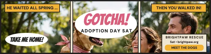 Brightpaw Gotcha Day comic billboard template