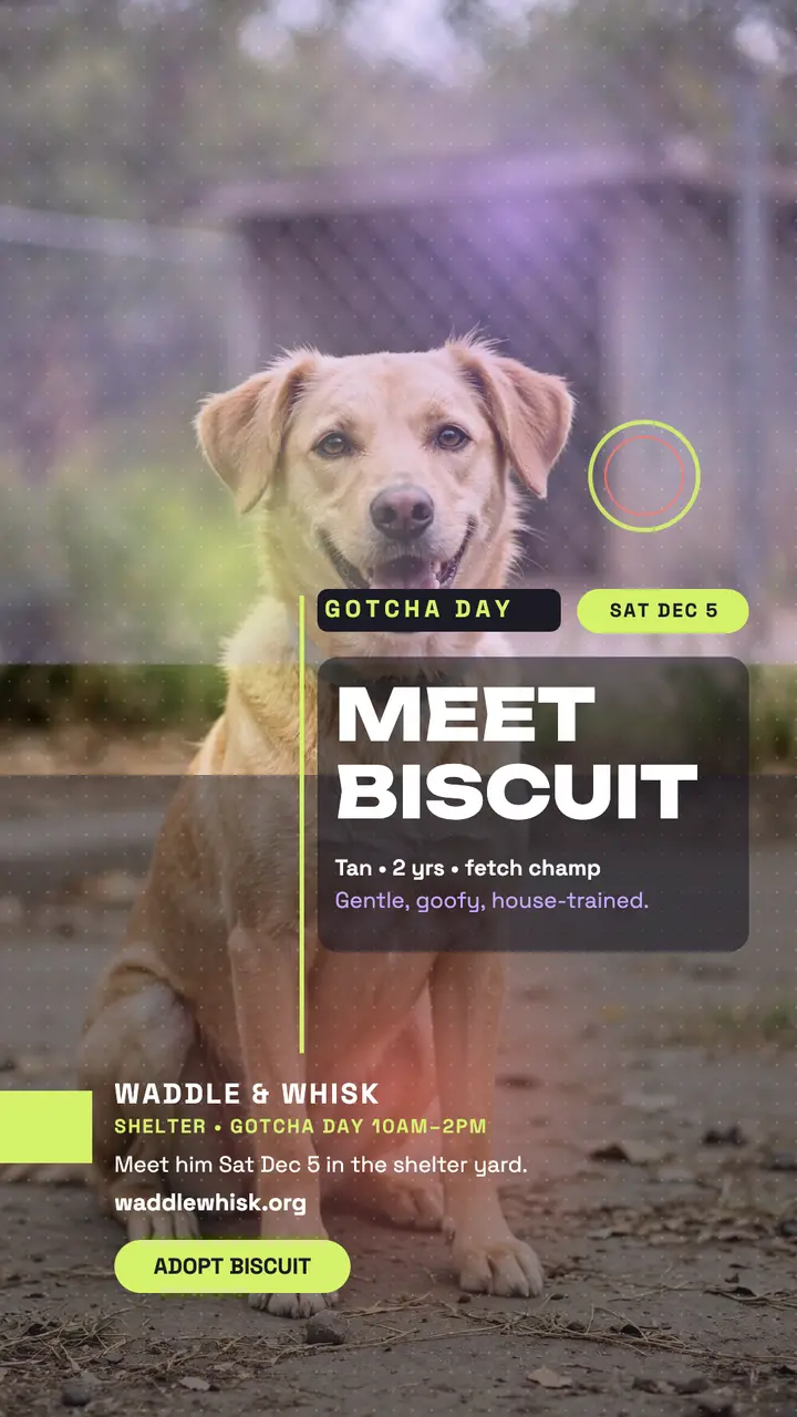 Waddle and Whisk gotcha day story: pet adoption story template