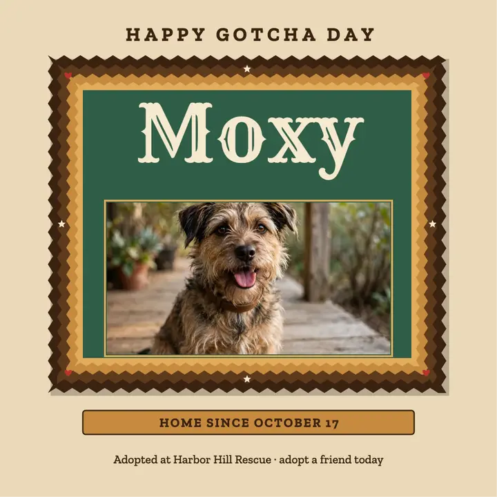 Moxy Gotcha Day tramp-art frame card template