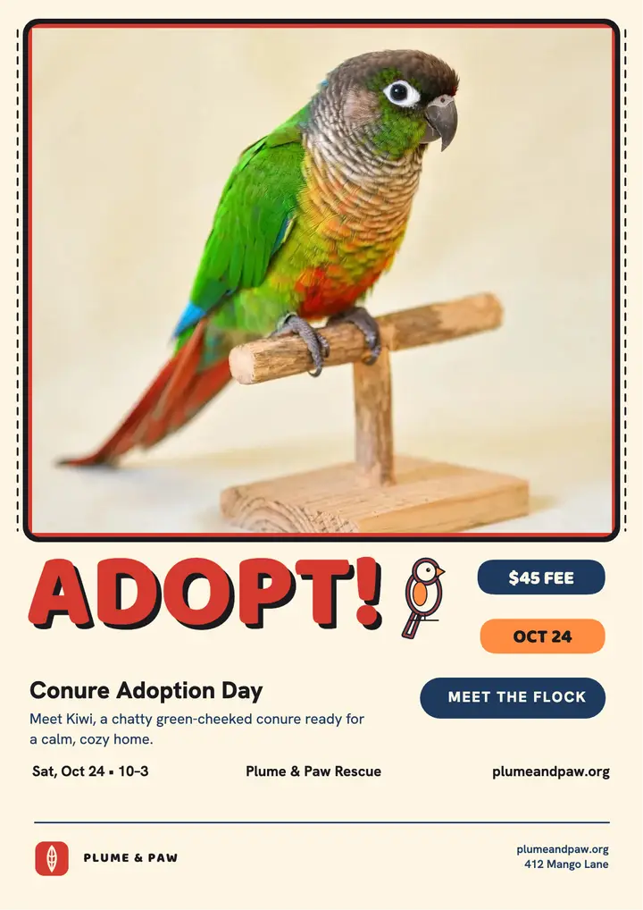 Plume and Paw parrot adoption flyer template