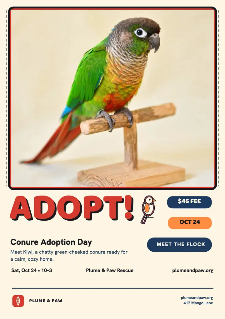 Plume and Paw parrot adoption flyer template