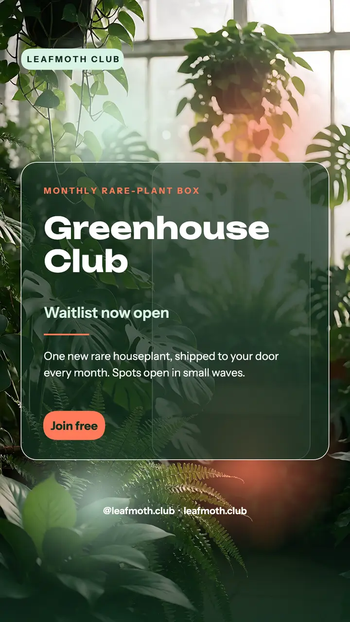 Greenhouse Club waitlist story, glassmorphism template