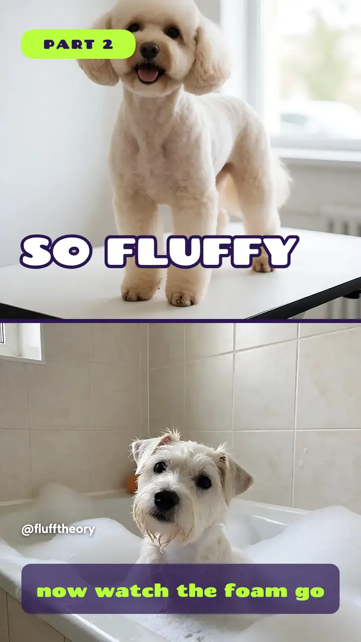 Fluff Theory grooming glow-up split story template