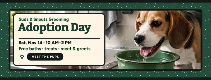 Suds and Snouts adoption day enamel cover template