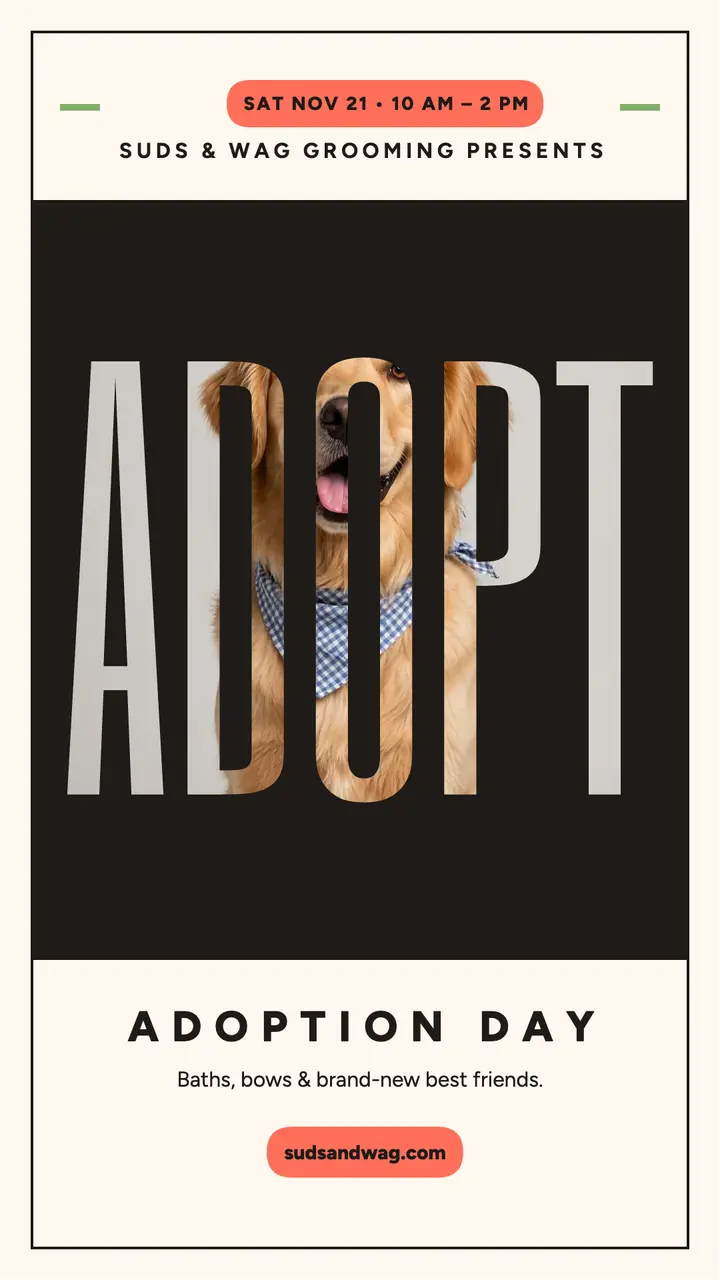 Suds and Wag adoption day pillar story template