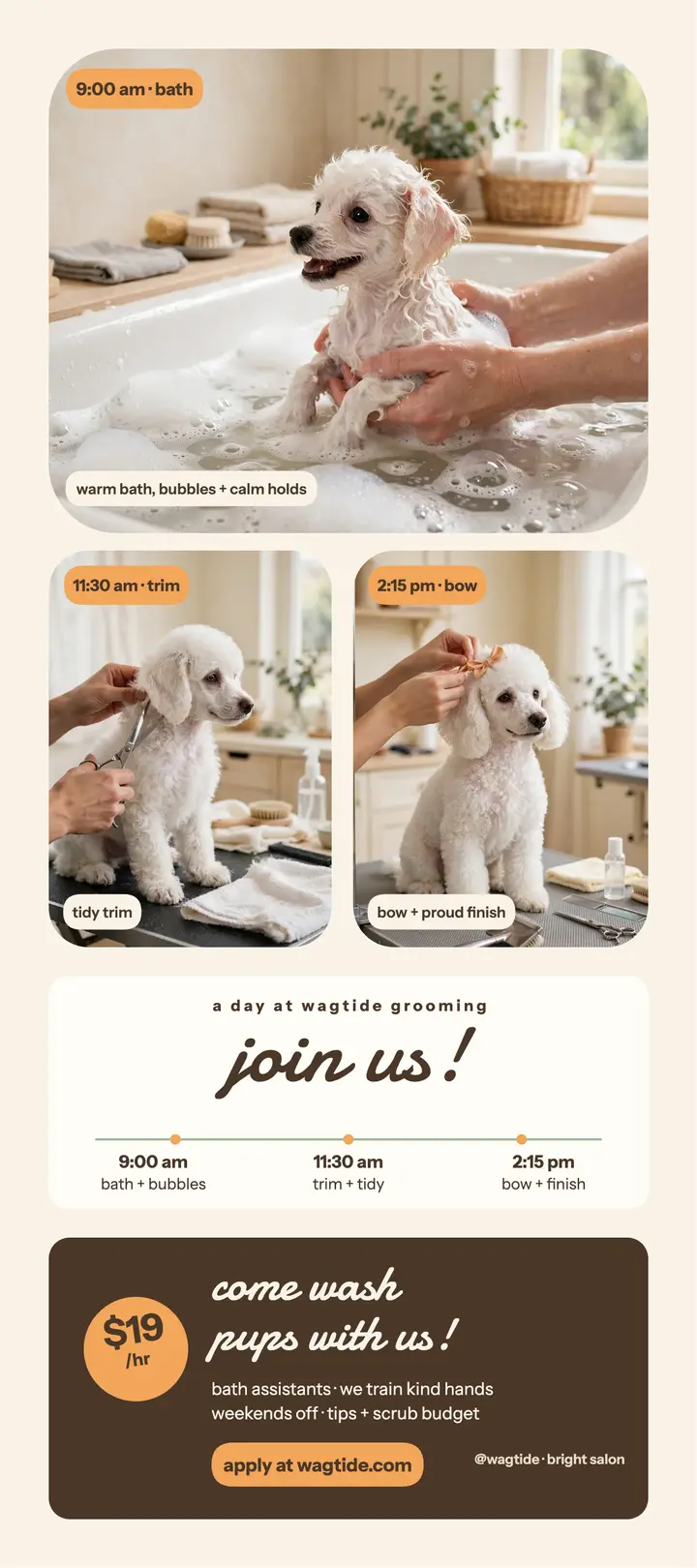 Wagtide groomer day hiring card template