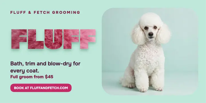 Fluff and Fetch grooming post template