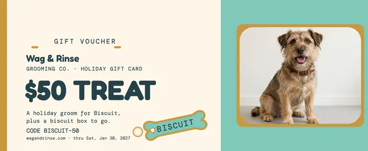 Wag and Rinse holiday groom voucher template