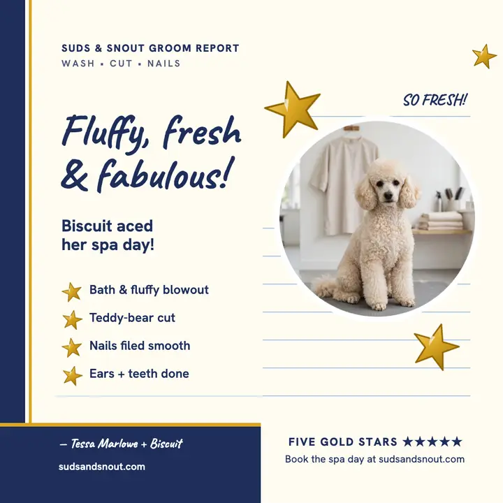 Suds and Snout gold star groom review template