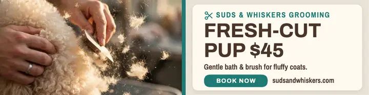 Suds and Whiskers gentle grooming billboard template