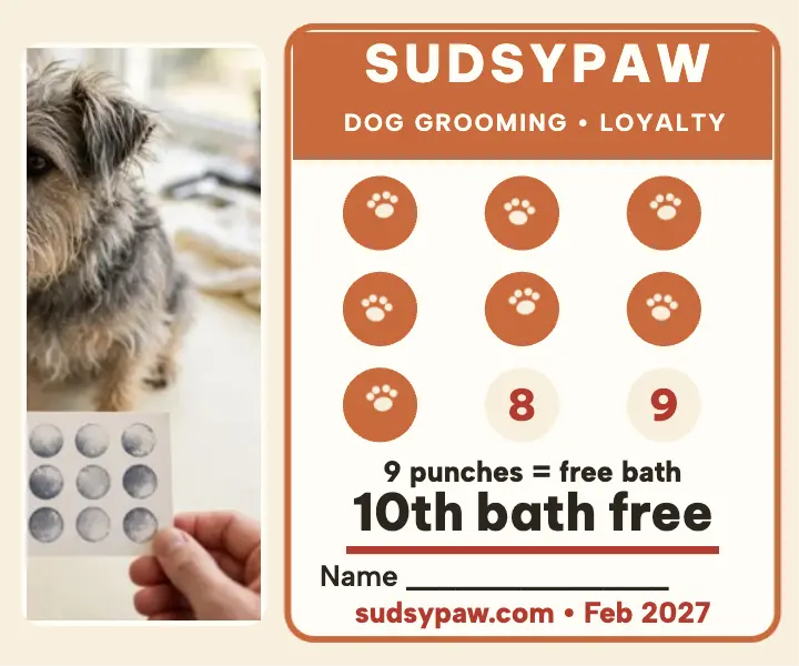 Sudsypaw groomer loyalty card ad template